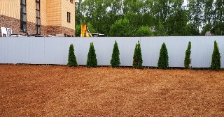 Отсыпка грунта Сасово, цена от 209 руб.